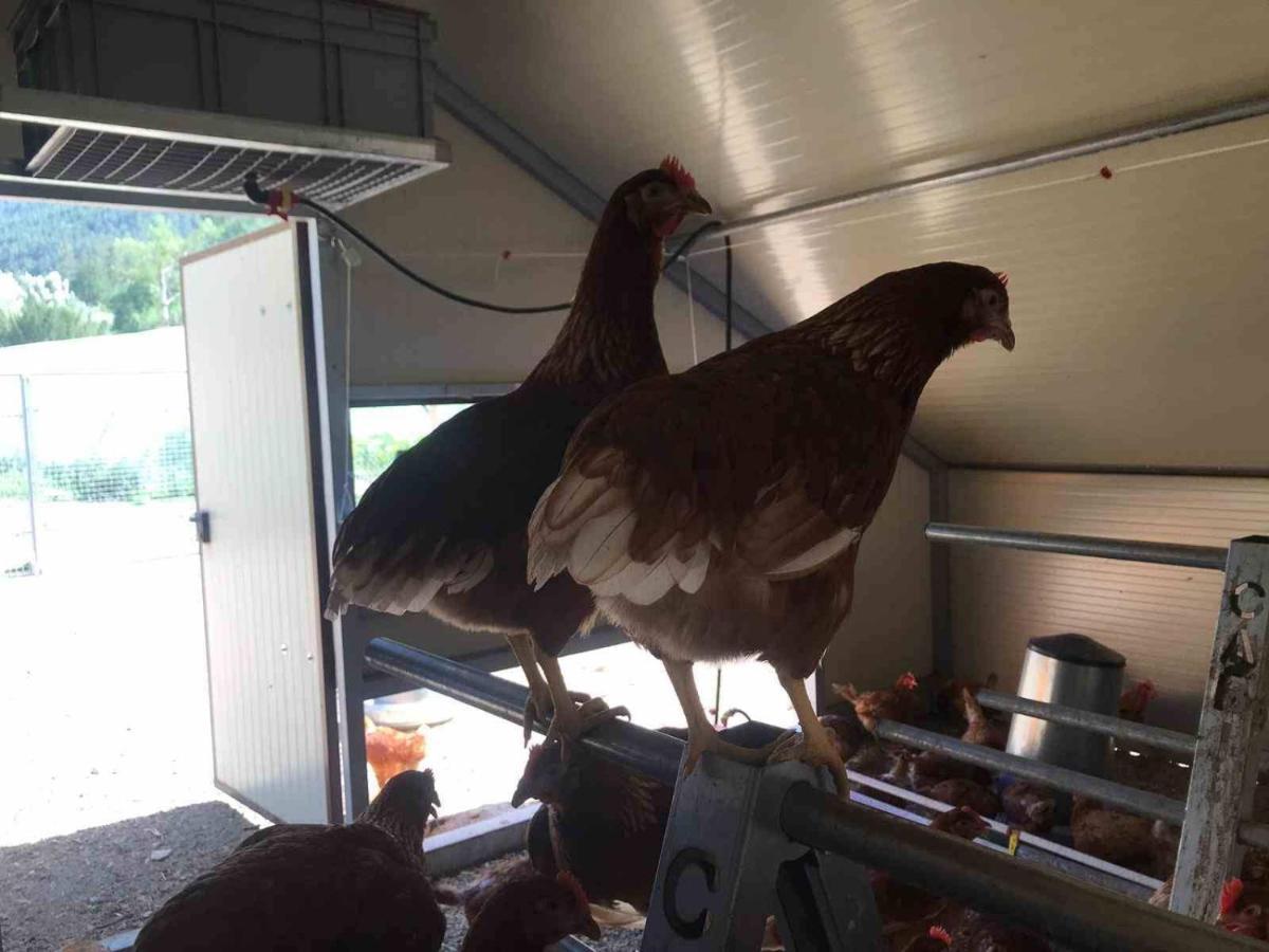 La Ferme De